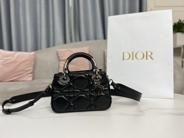 Dior(Lady)