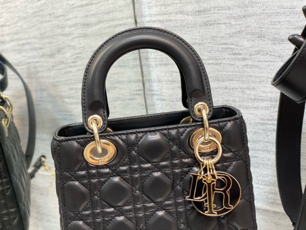 Dior(Lady)