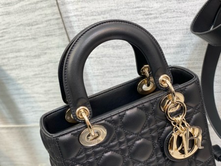 Dior(Lady)