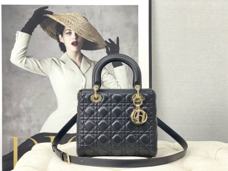 Dior(Lady)