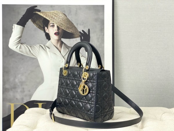 Dior(Lady)