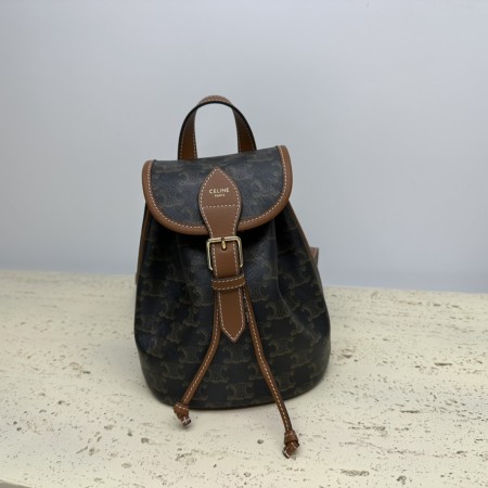 Celine(TRIOMPHE CANVAS)