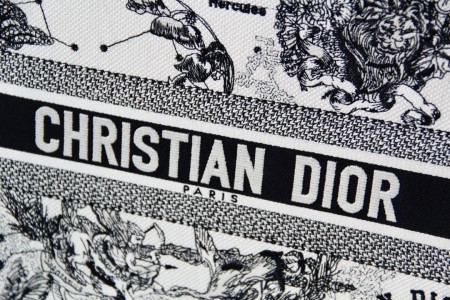 Dior(Book)