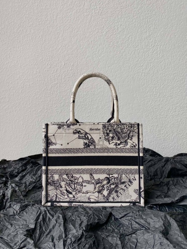 Dior(Book)