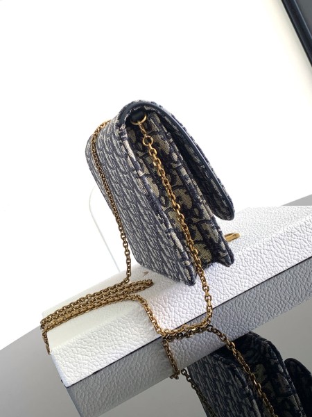 Dior(Oblique)