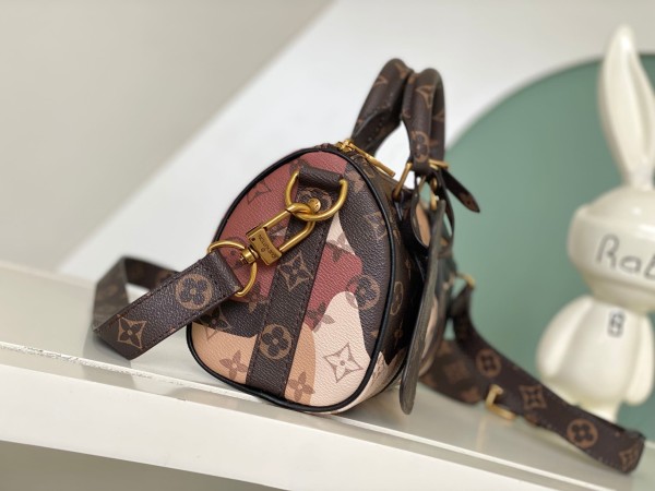 Louis Vuitton( Keepall 25)