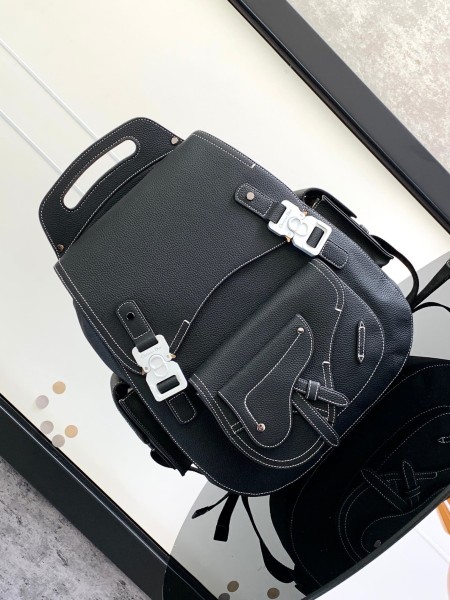 Dior(Gallop)