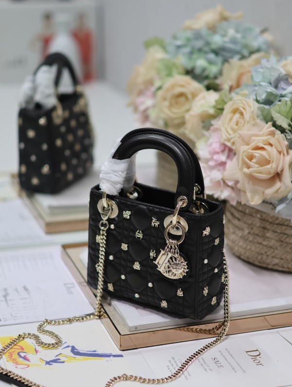 Dior(Lady)