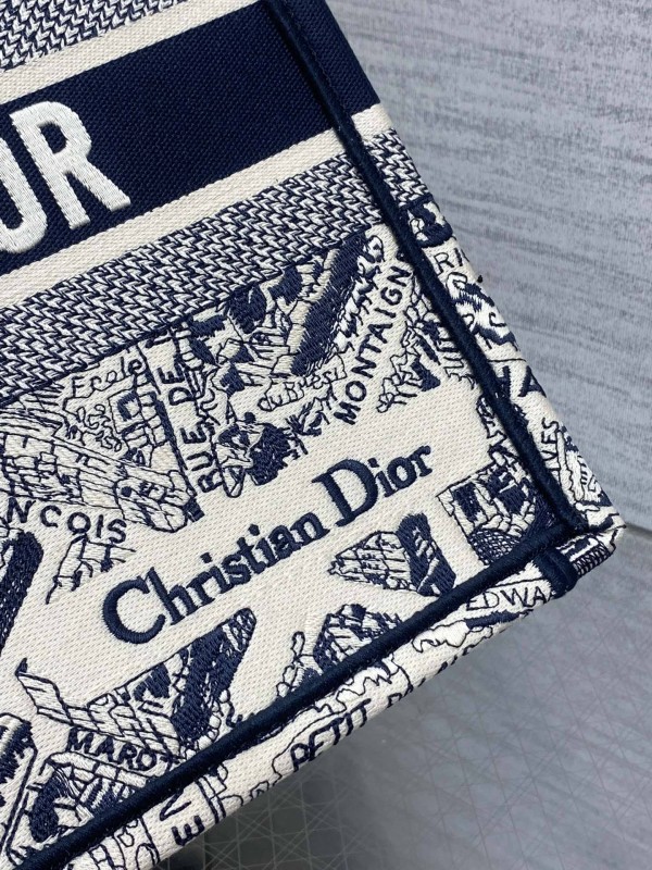Dior(book)
