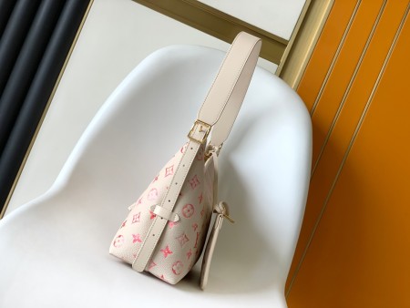 Louis vuitton(CarryAll)