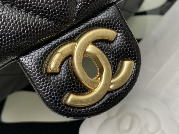 Chanel(24P)