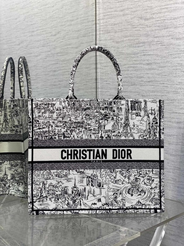 Dior(book)