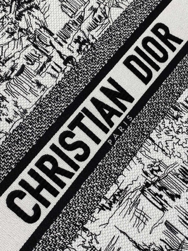 Dior(book)