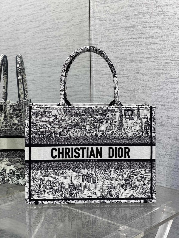 Dior(book)