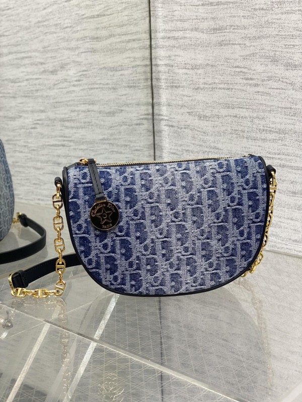 Dior(Callisto hobo)