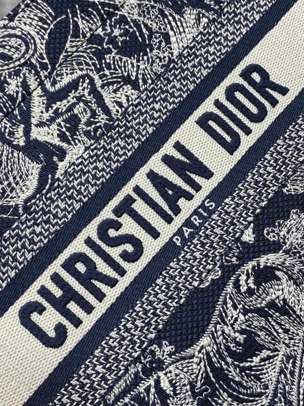 Dior(Book Tote)
