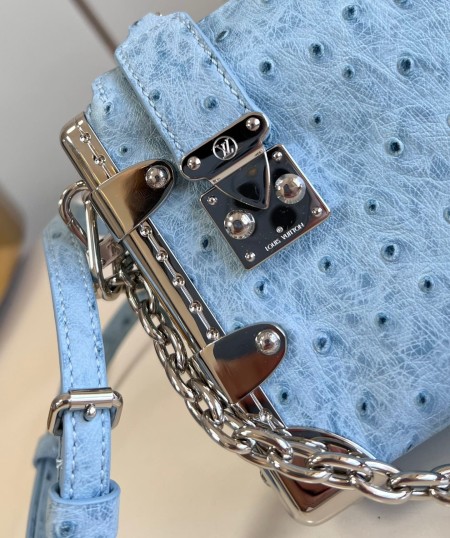 Louis Vuitton(Slim Trunk)