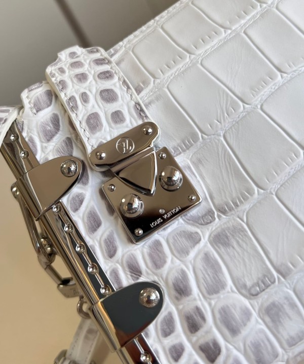 Louis Vuitton(Slim Trunk)