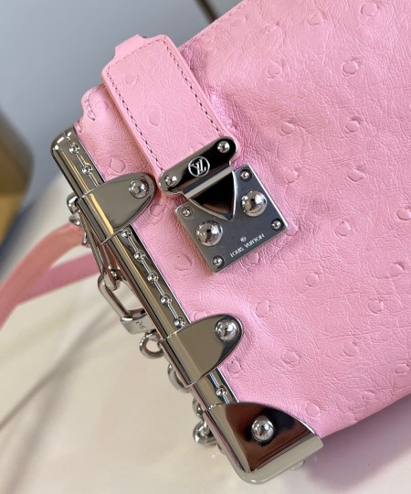 Louis Vuitton(Slim Trunk)