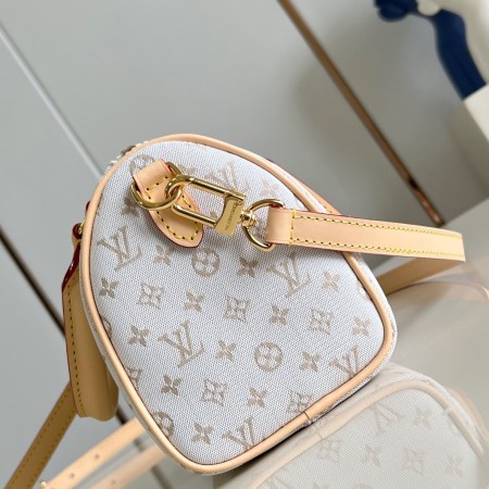 Louis Vuitton(Speedy Bandoulière 20)