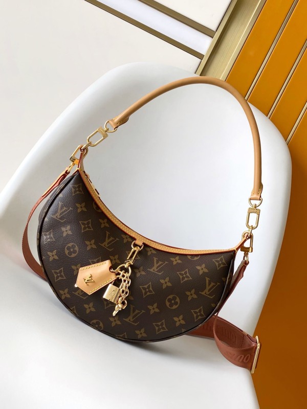 Louis Vuitton(hobo)